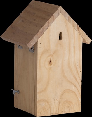 Nido Pajaros Silueta Herrerillo Azul